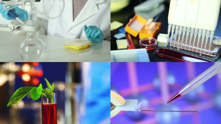 156767956.jpg, Jul 2019 156767956.jpg