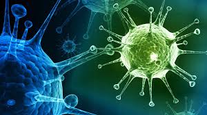 download222.jpg, Jul 2019 download222.jpg