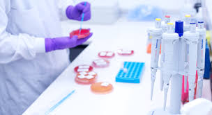 images222.jpg, Jul 2019 images222.jpg